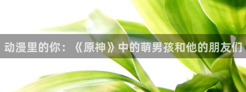 colamanage漫画官网：动漫里的你：《原神》中的萌男孩和他的朋友们