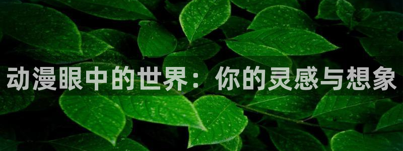 colamanage漫画官网：动漫眼中的世界：你的灵感与想象