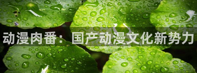 managereader漫画官网入口：动漫肉番：国产动漫文化新势力