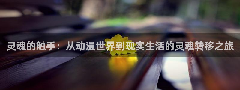 managereader漫画官网入口：灵魂的触手：从动漫世界到现实生活的灵魂转移之旅