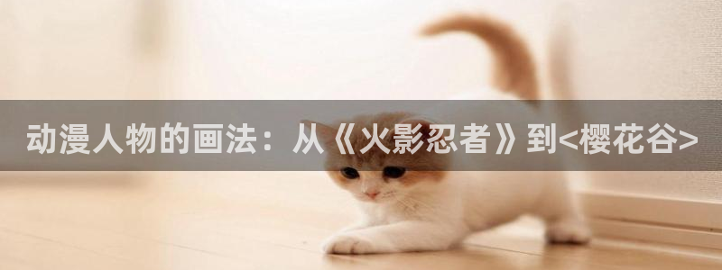 下载age动漫：动漫人物的画法：从《火影忍者》到<樱花谷>