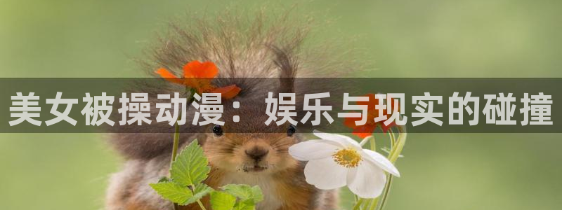 age动漫网上看：美女被操动漫：娱乐与现实的碰撞