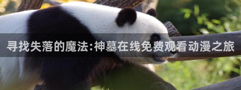 age动漫官网在线入口：寻找失落的魔法:神墓在线免费观看动漫之旅