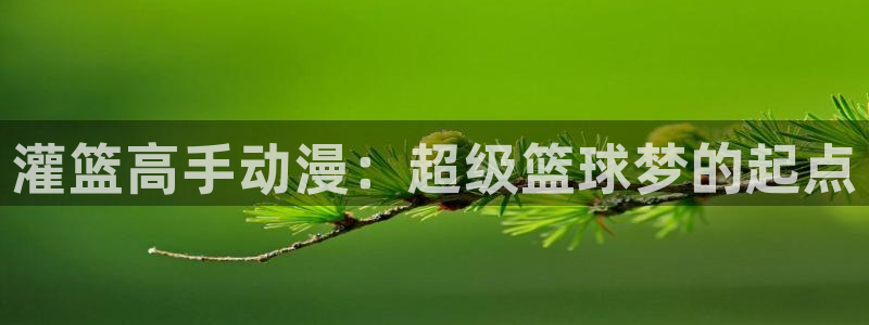 age动漫官网版入口：灌篮高手动漫：超级篮球梦的起点