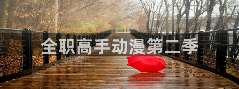 managereader漫画官网入口：全职高手动漫第二季