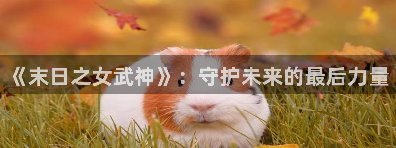 age动漫omofun：《末日之女武神》：守护未来的最后力量