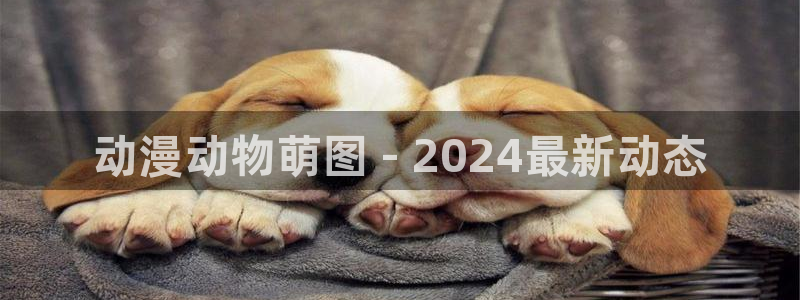 age动漫下载网：动漫动物萌图 - 2024最新动态