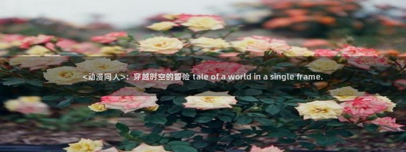 age动漫官网版入口：<动漫同人>：穿越时空的冒险 tale of a world in a single frame.