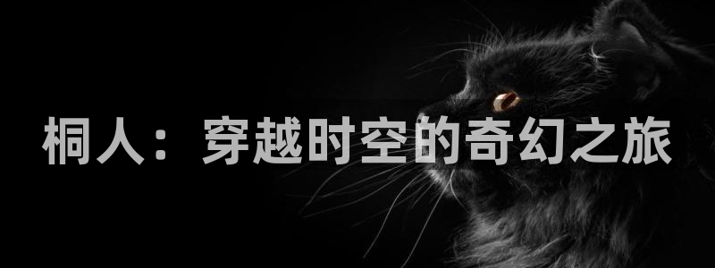 拷贝漫画 copymanager.ory网站：桐人：穿越时空的奇幻之旅