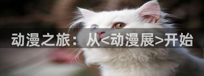 拷贝漫画 copymanager.ory网站：动漫之旅：从<动漫展>开始