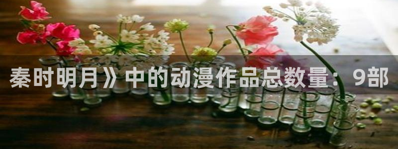 age动漫官网在线入口：秦时明月》中的动漫作品总数量：9部