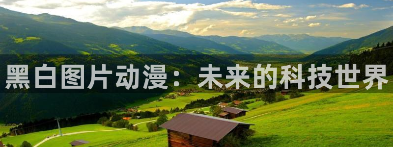 age动漫官网网址：黑白图片动漫：未来的科技世界