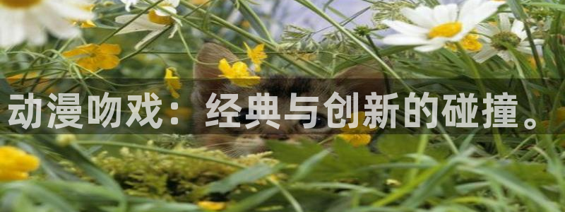 age动漫网官网入口：动漫吻戏：经典与创新的碰撞。